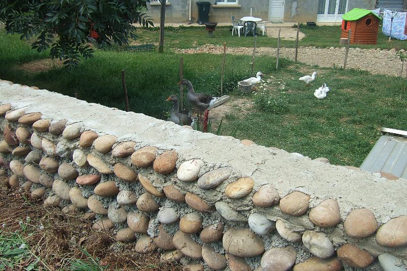 2011-05- (755).JPG